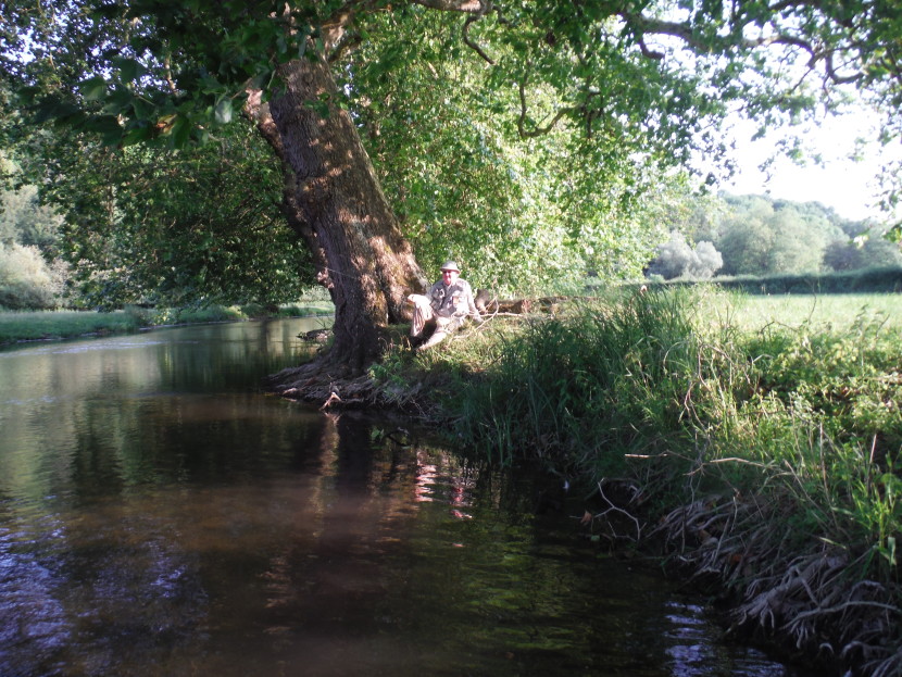 The Avon at Heale The Avon at Heale